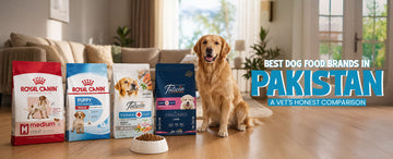 Best Dog Food Brands in Pakistan 