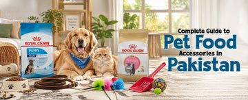 Complete Guide to Pet Food and Accessories in Pakistan