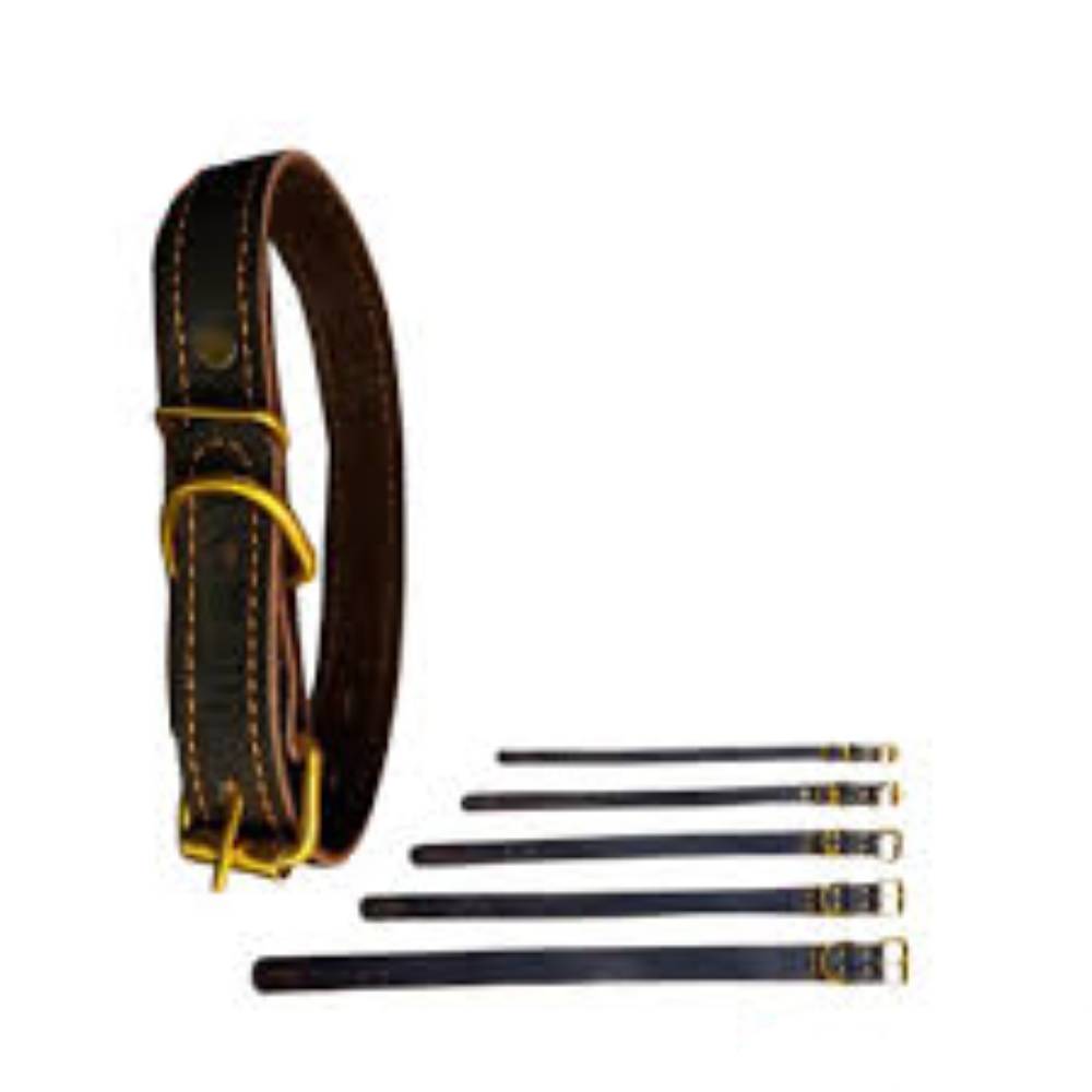 Dog Leather Collar