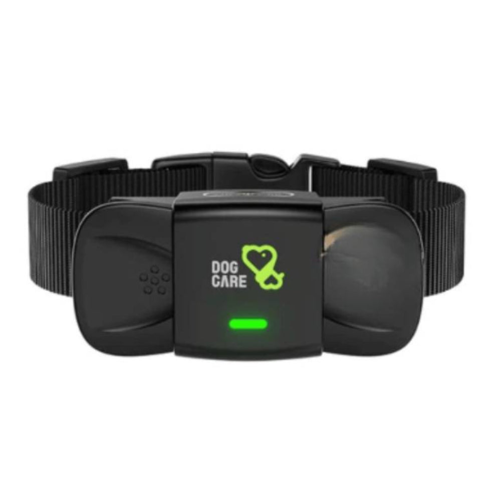 Dog Training Collar