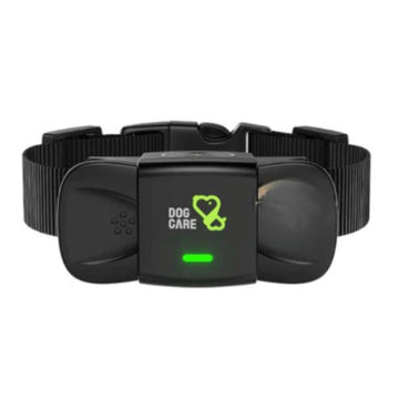 Dog Training Collar