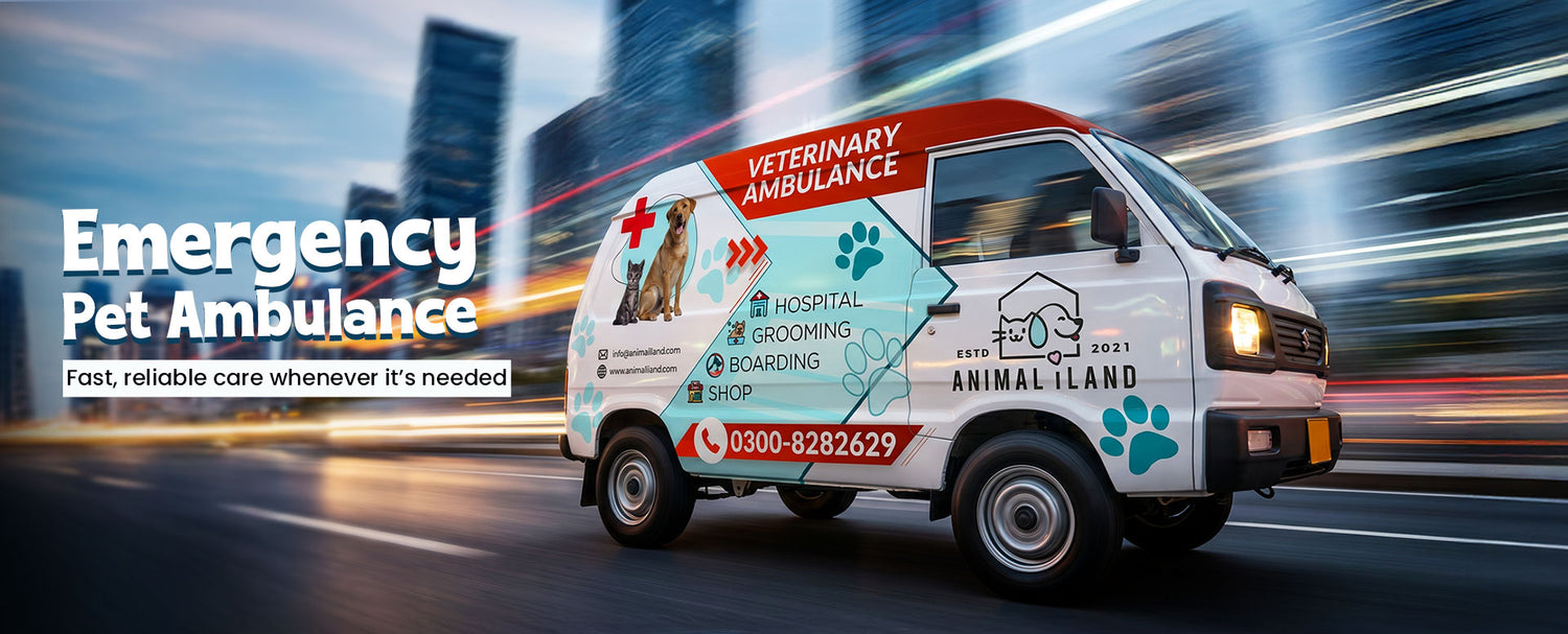 Emergency Pet Ambulance - AnimaliLand