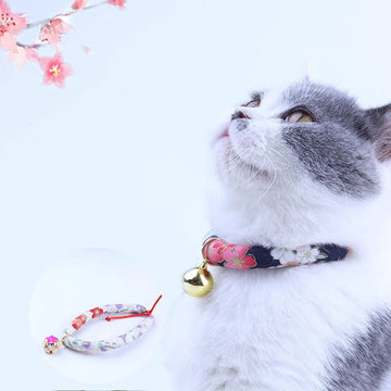 Multi Colour Pet Necklace