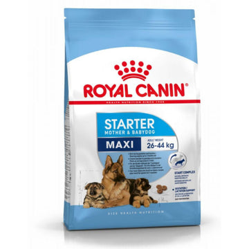 Royal Canin Maxi Starter 4 Kg