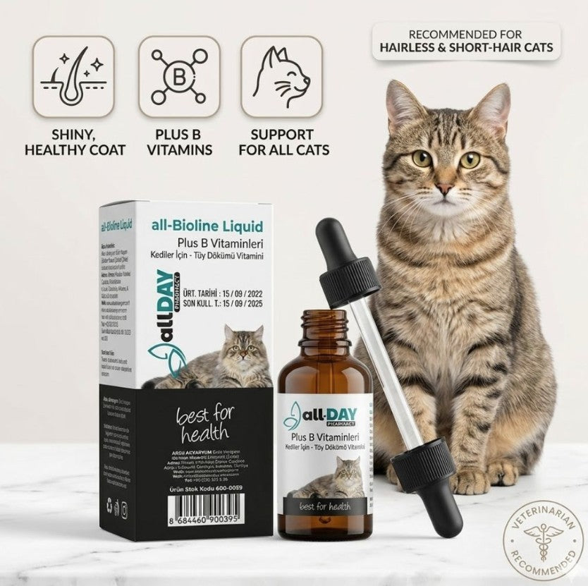 all-DAY cat supplement bottle 
