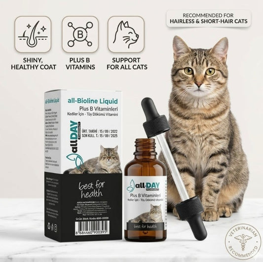 all-DAY cat supplement bottle 