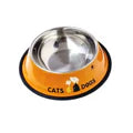 Coloured Steel Bowl