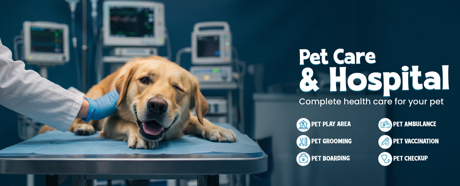 pet care & hospital d-banner - AnimaliLand