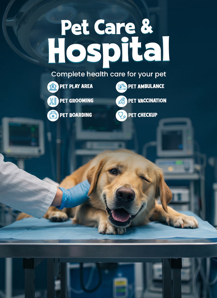 pet care & hospital m-banner