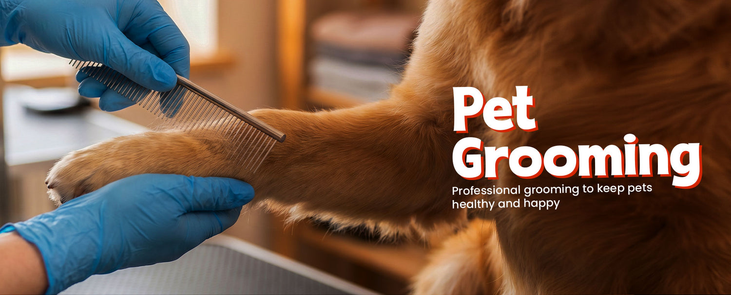 pet grooming desktop