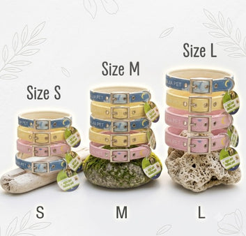 Multi Color Soft Collar With Buckle