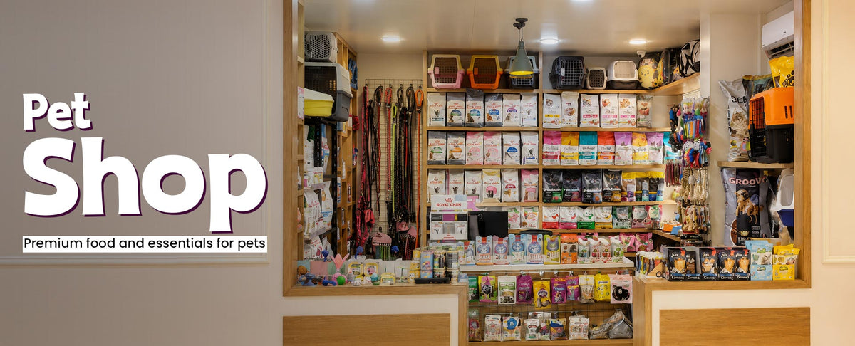 pet shop d-banner - AnimaliLand
