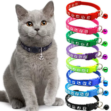Cat Colar Imported Colorful
