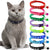 Cat Colar Imported Colorful